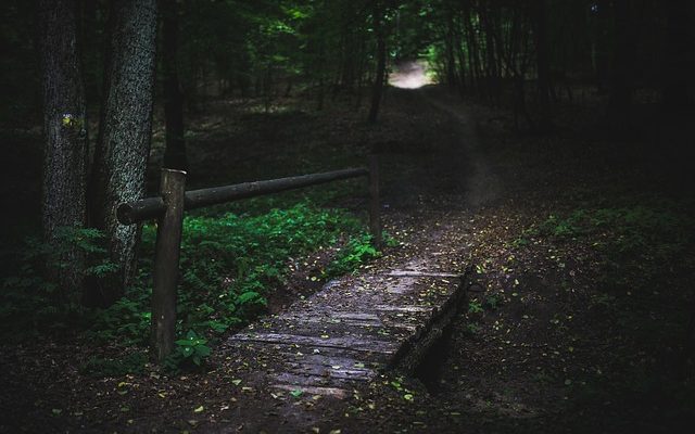 Comment faire un petit pont solide avec 15 bâtons de bois minces et de la colle à bois.