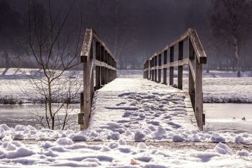 Comment réparer les fissures dans le bois de mon pont ?