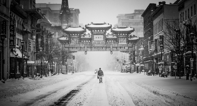 Influence chinoise sur la culture américaine