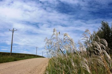 Les inconvénients de la vie en milieu rural