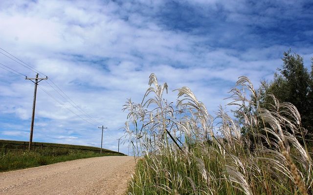 Les inconvénients de la vie en milieu rural