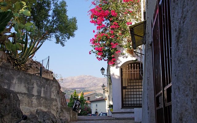 Adaptations pour Bougainvillea Glabra