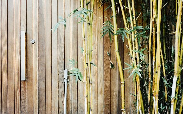 Comment construire une porte en bambou