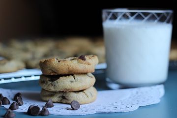 Comment débarrasser votre maison des puces ?