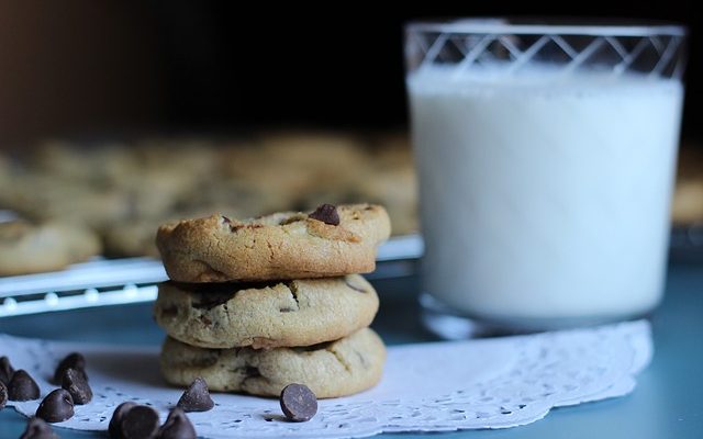 Comment débarrasser votre maison des puces ?