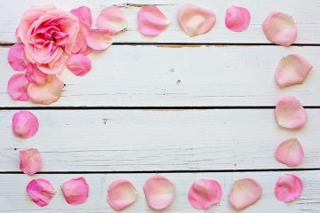 Idées cadeaux pour un anniversaire de mariage de 24 ans