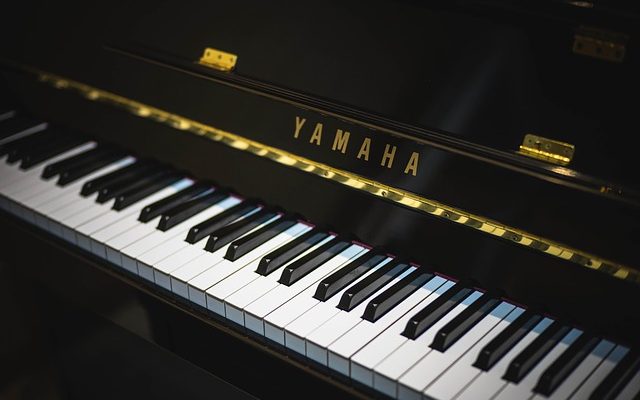 Les meilleurs claviers portables pour piano