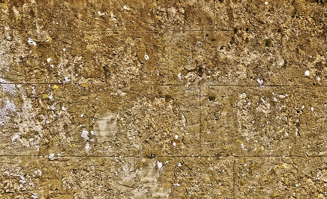 Réoccasion de fissures dans les murs de plâtre